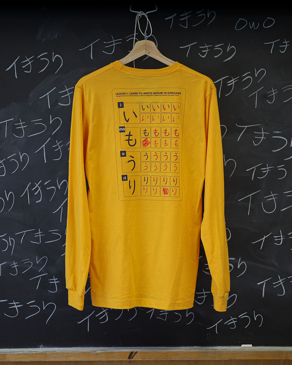 Lessons Long Sleeve Shirt